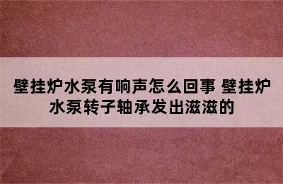 壁挂炉水泵有响声怎么回事 壁挂炉水泵转子轴承发出滋滋的